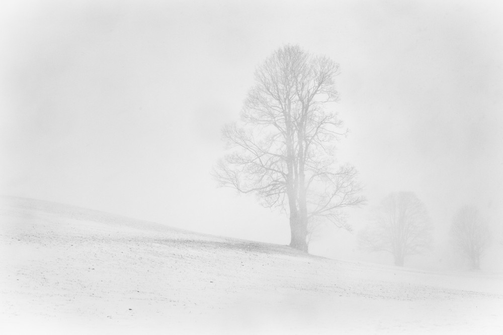 Misty winter in the Allgau von Annie Keizer