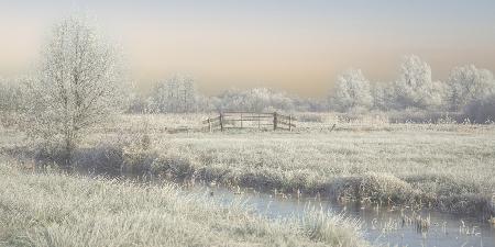 winter in the wieden