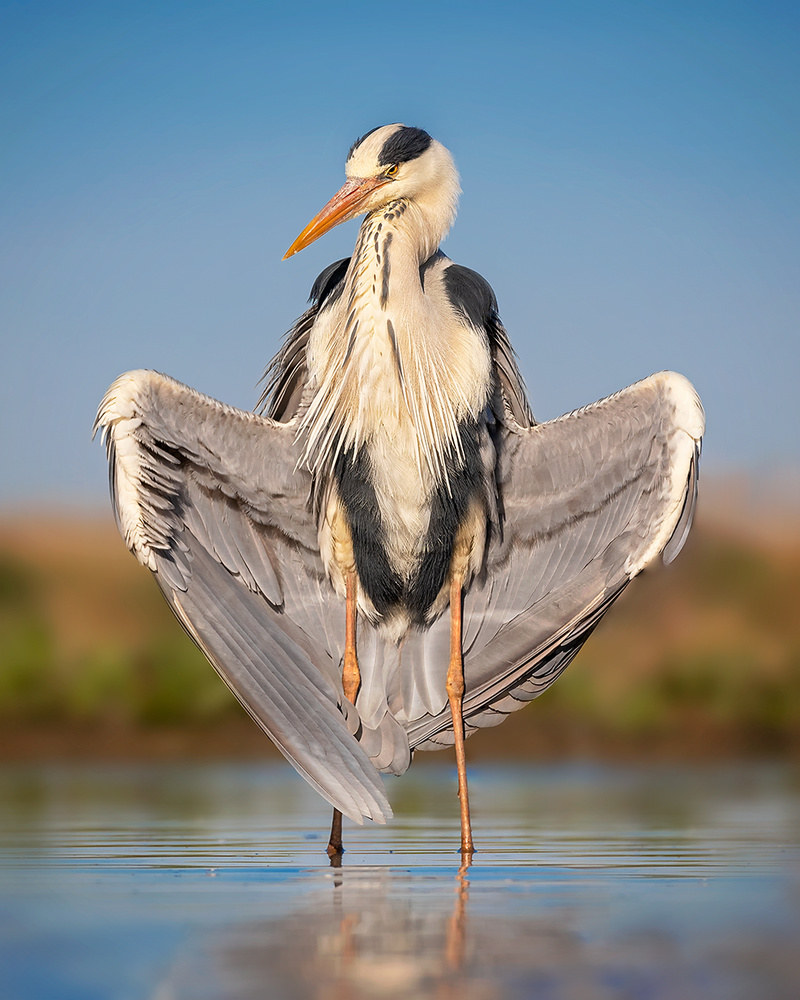 A big heart! von Annie Poreider