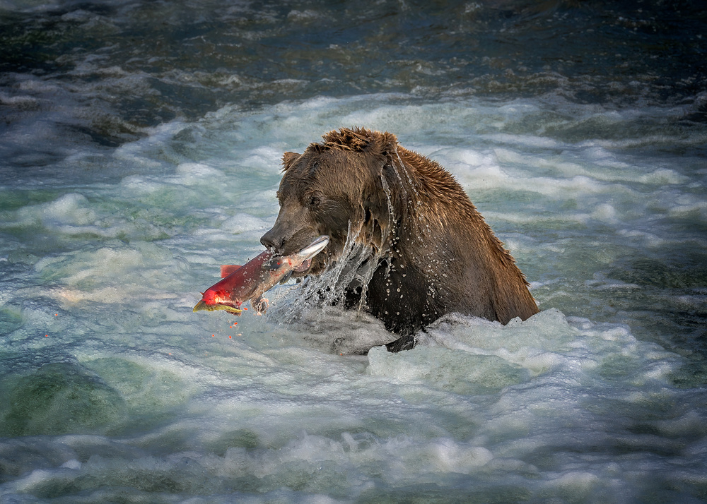 A Good Hunter von Annie Poreider