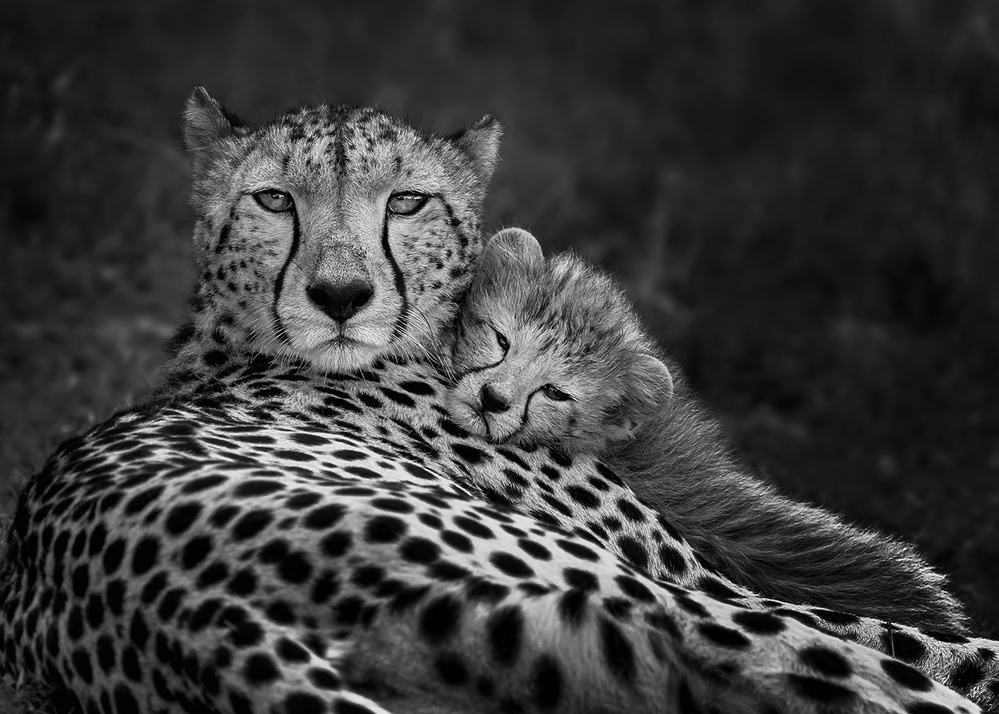 Peaceful moment von Annie Poreider