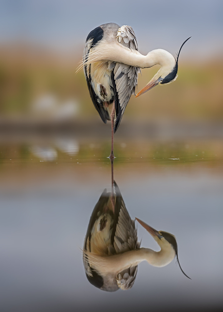 Balance in reflection von Annie Poreider