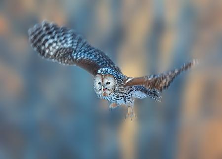 Good morning, little cutie