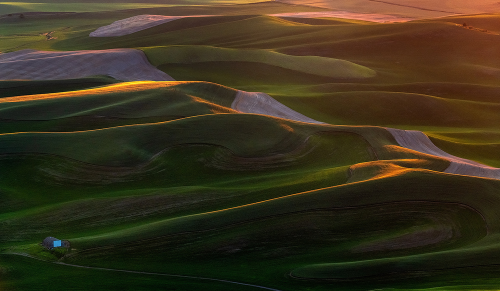 In the morning light von Annie Poreider