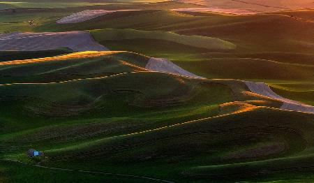 In the morning light