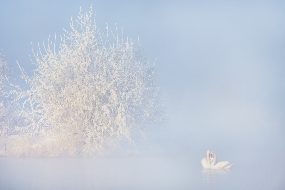 Love story in the Winter von Annie Poreider