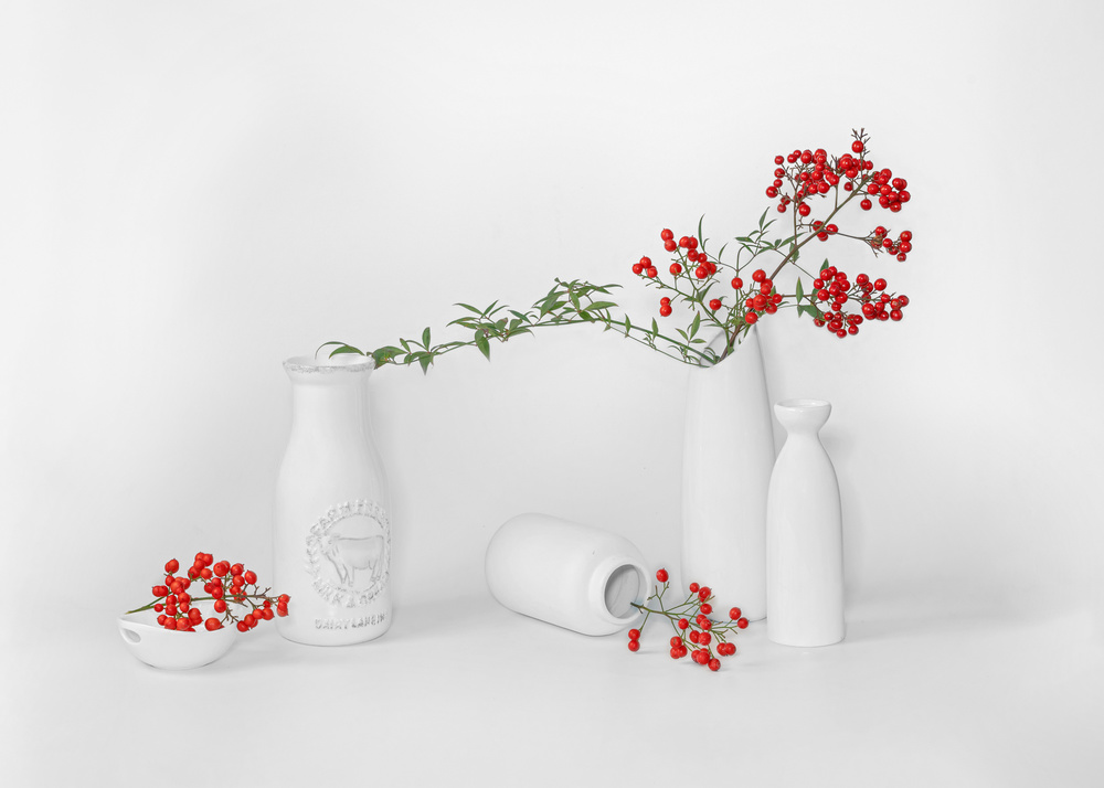 Winterberries von Annie Poreider