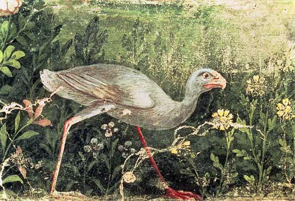 Wall painting of a Sultan chicken in a garden Pompeii