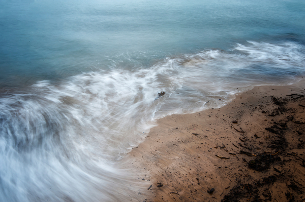 Cruel Sea von Ant Smith