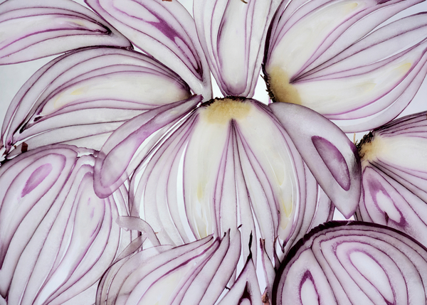 Red Onion Slices von Ant Smith