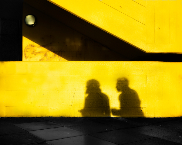 Shadoy Following von Ant Smith