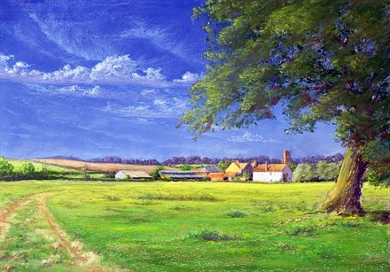 Home Field von Anthony  Rule