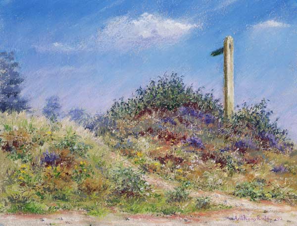 Public Footpath, 2002 (pastel on paper)  von Anthony  Rule