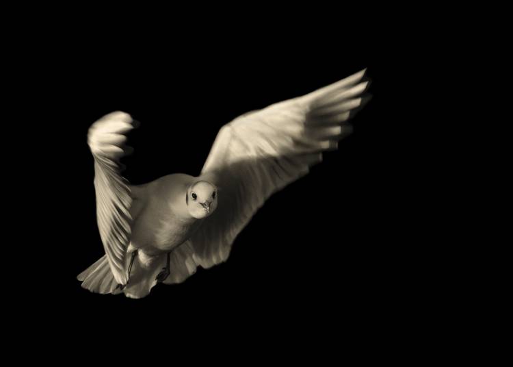 Air Breaking von AnthonyRoberts