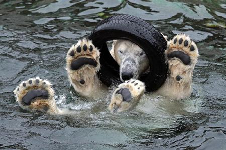 PLAYING THE TIRE (or: THE MECHANIC ;-)