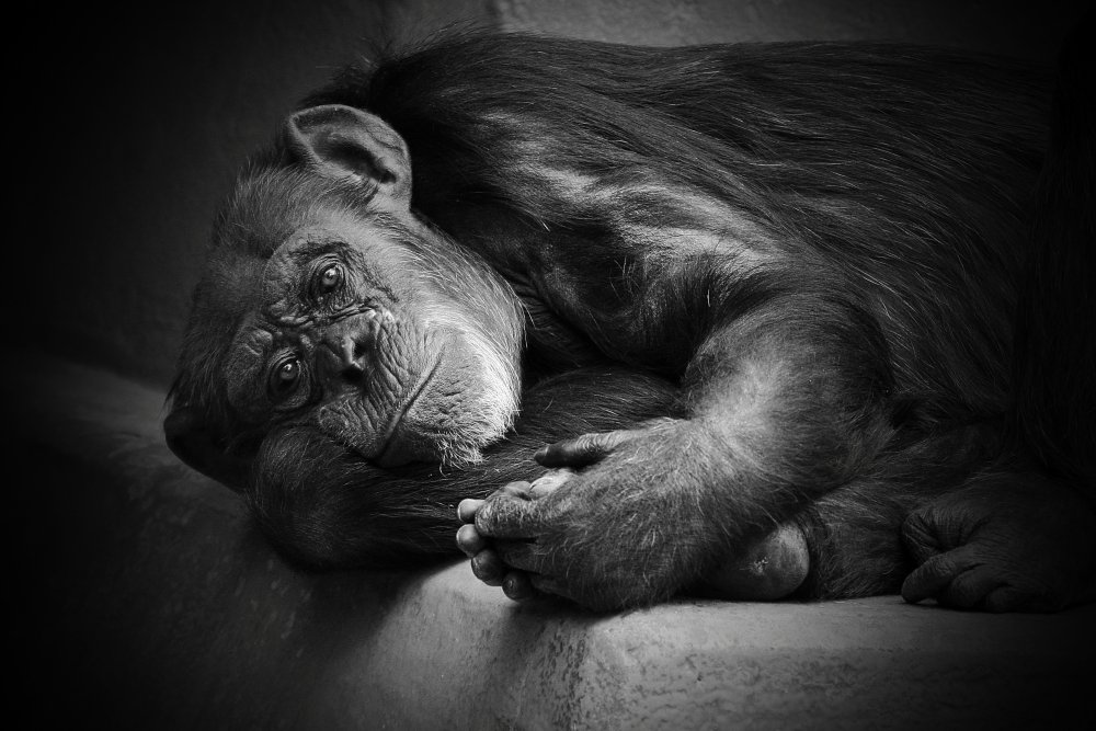 YESTERDAY .... von Antje Wenner-Braun