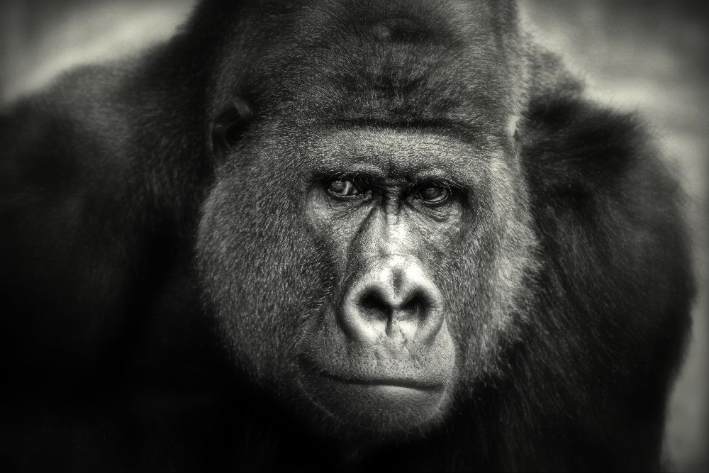 KLEINES LÄCHELN .... von Antje Wenner-Braun