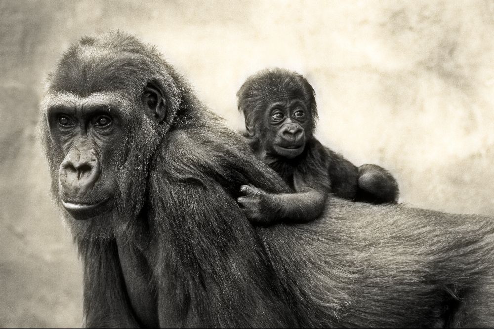 LEBEN. von Antje Wenner-Braun