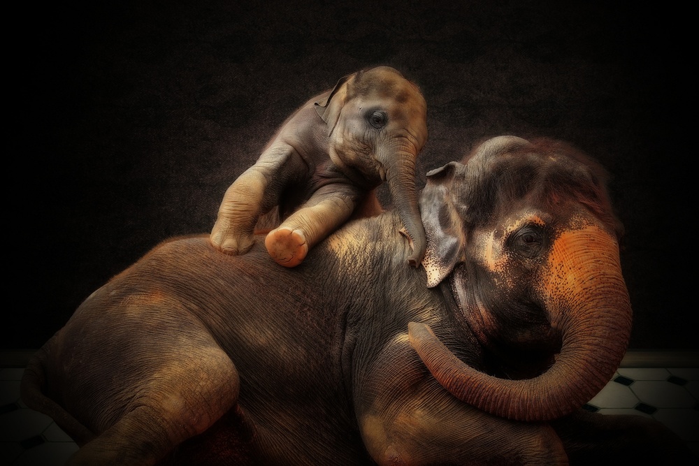 LOVING BOND von Antje Wenner-Braun