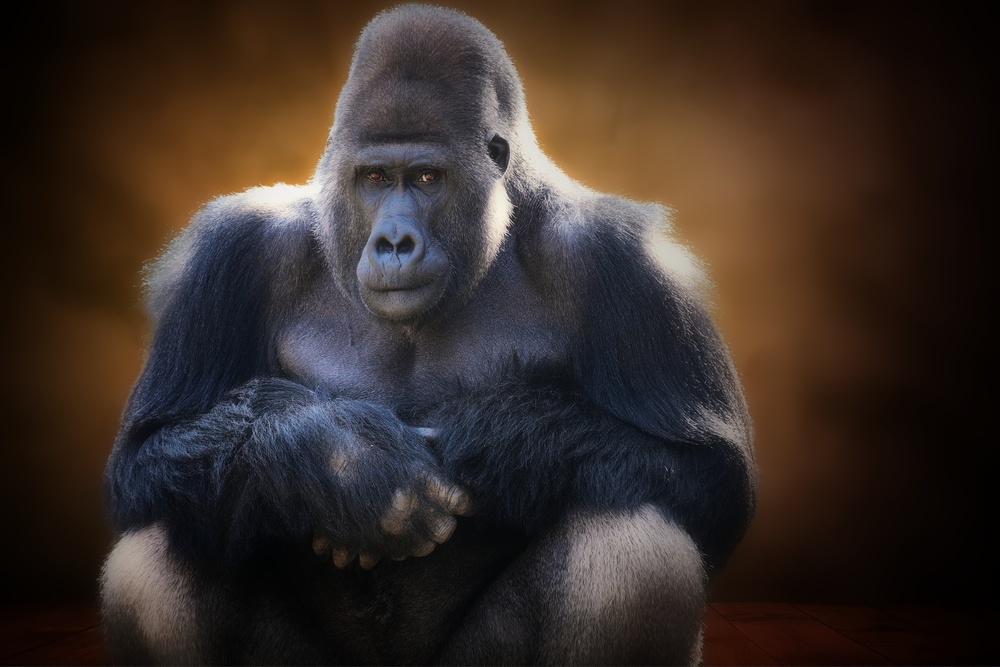 SOUR von Antje Wenner-Braun