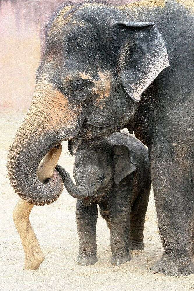 ZWEI von Antje Wenner-Braun