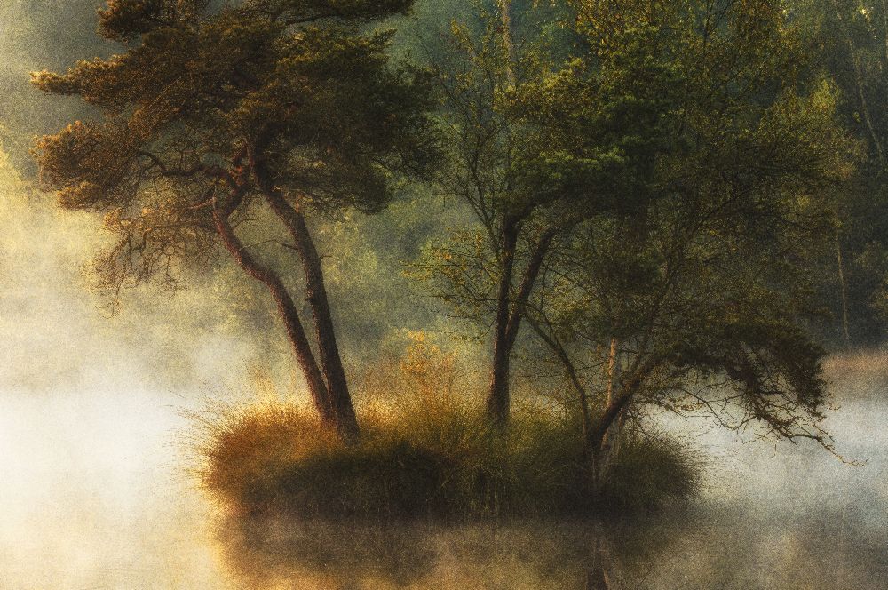 Einsame Insel von Anton Van Dongen