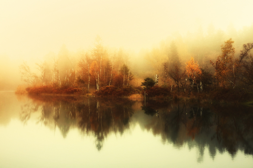 Classic mood von Anton Van Dongen