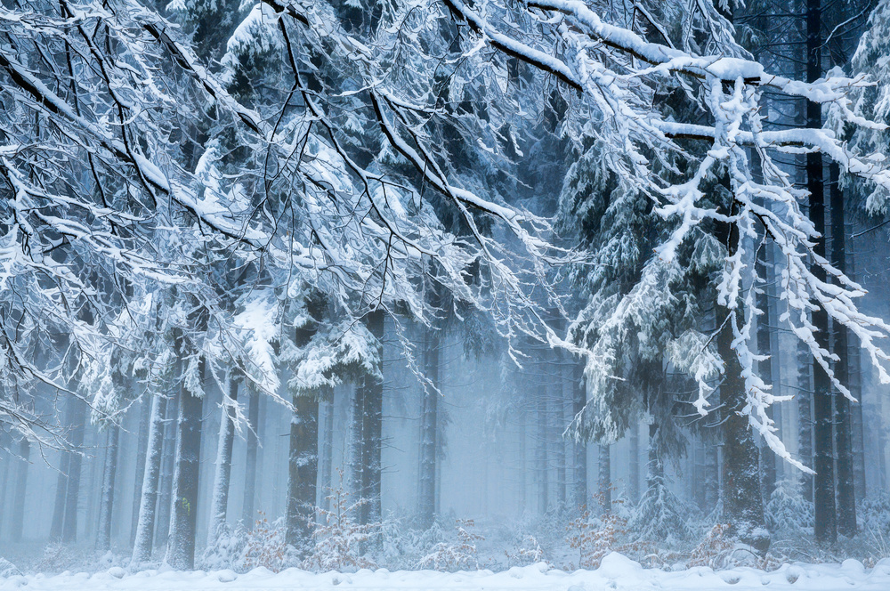 Snowworld von Anton Van Dongen