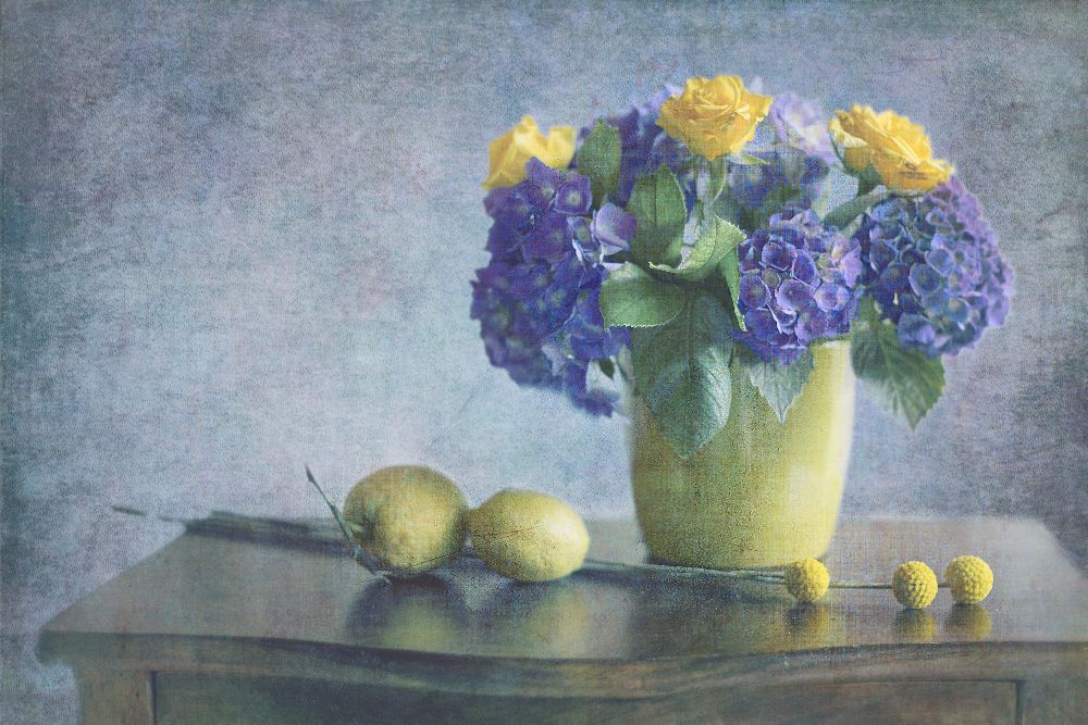 Immer noch von Antonella Renzulli