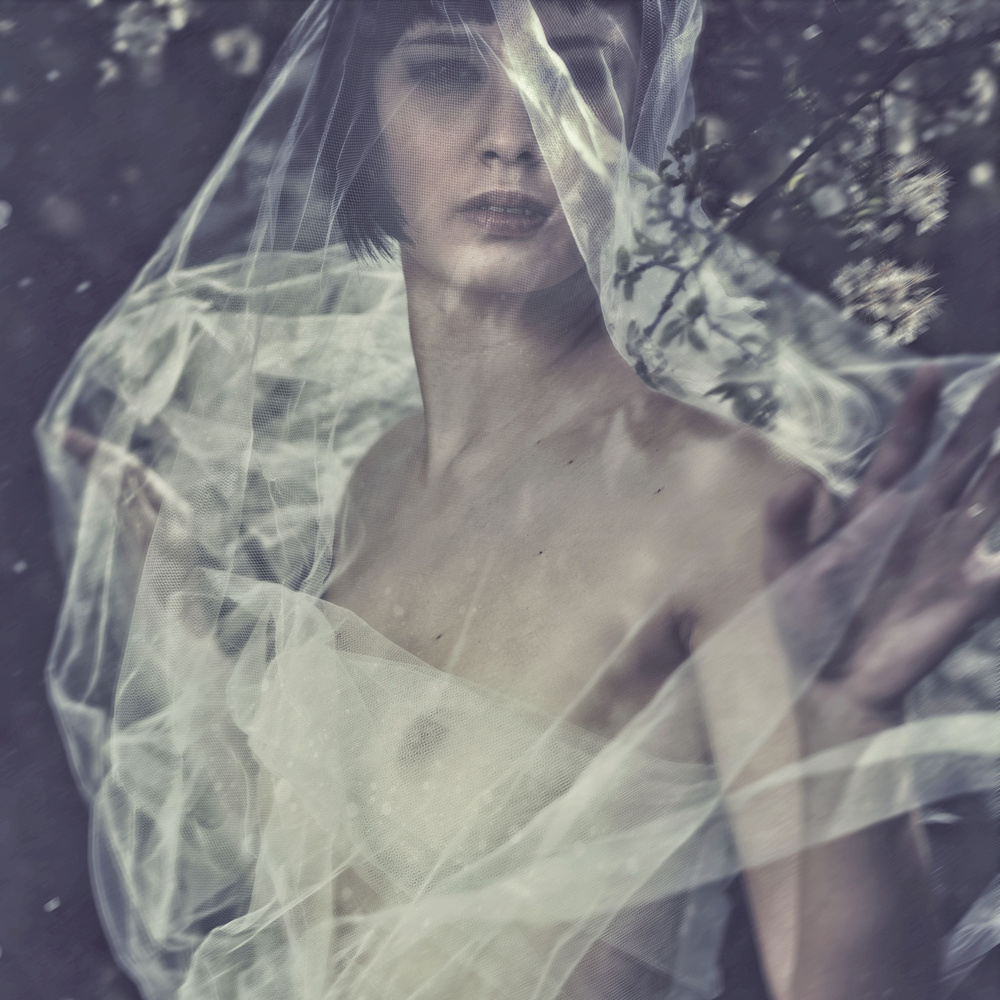 Veiled Spring von Antonella Renzulli