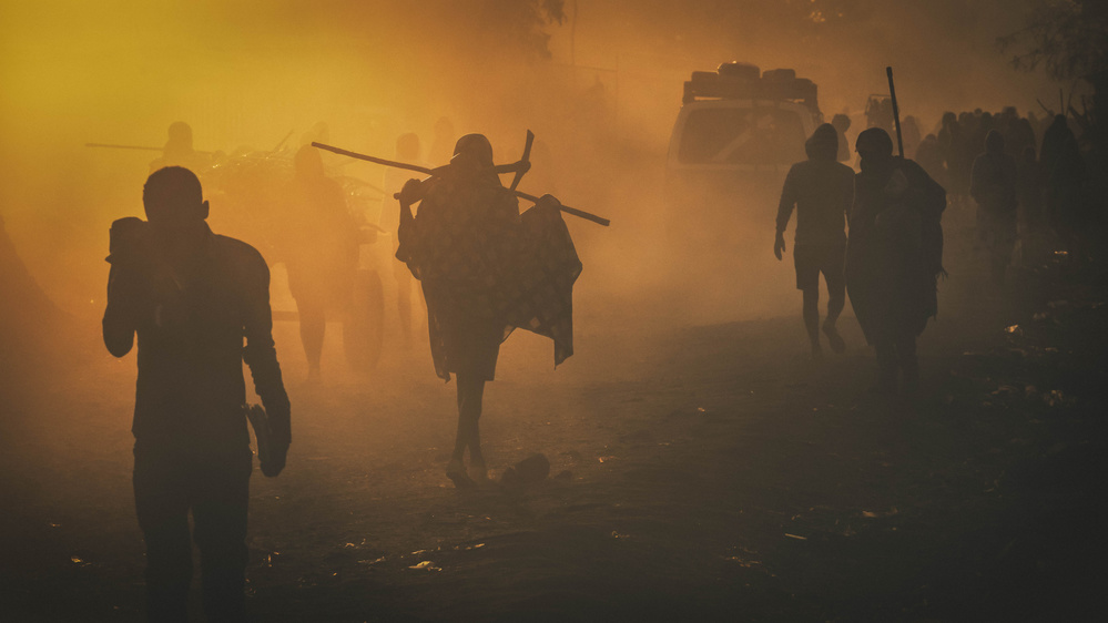 Movement von António Carreira