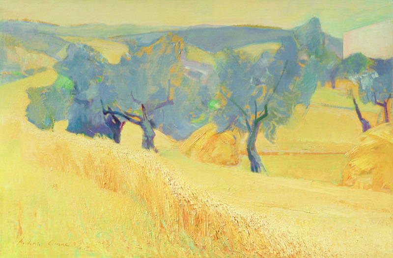 Olive Trees in Tuscany von Antonio  Ciccone