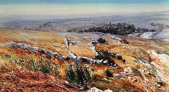 Gargano - ''Le Coppe'', 1979 (acrylic on canvas)  von Antonio  Ciccone