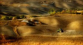 Preparation for sowing - Volterra (PI) - Toscana - Italy