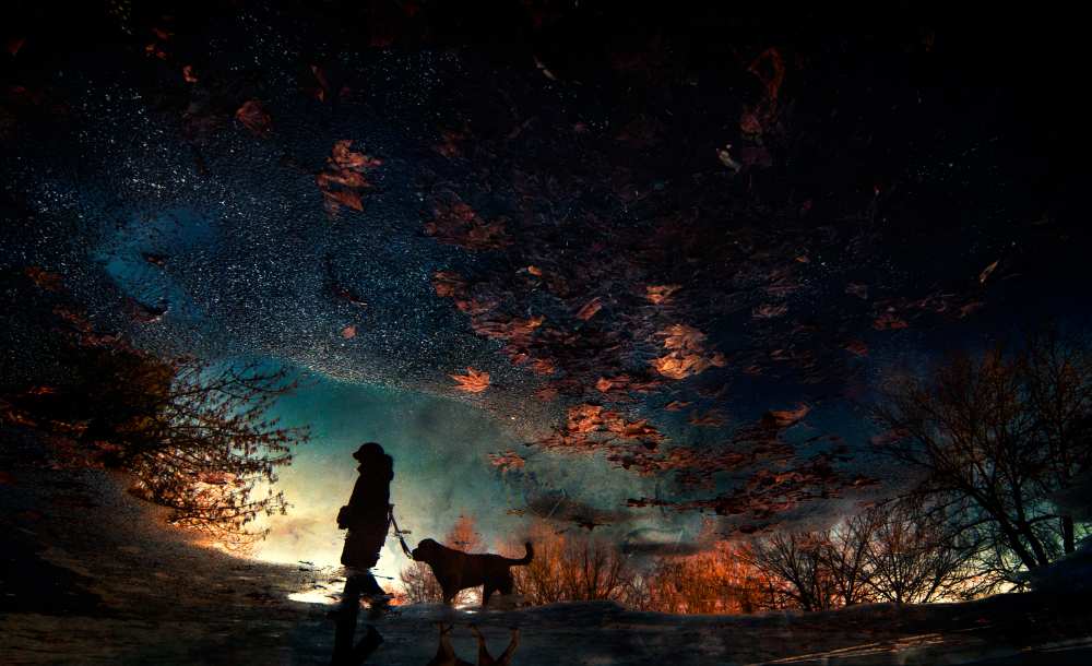 Untitled von Antonio Grambone