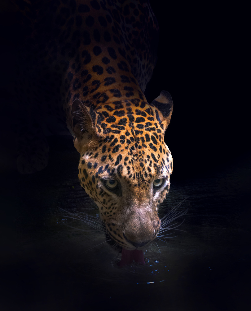 Drinking von Antonyus Bunjamin (Abe)