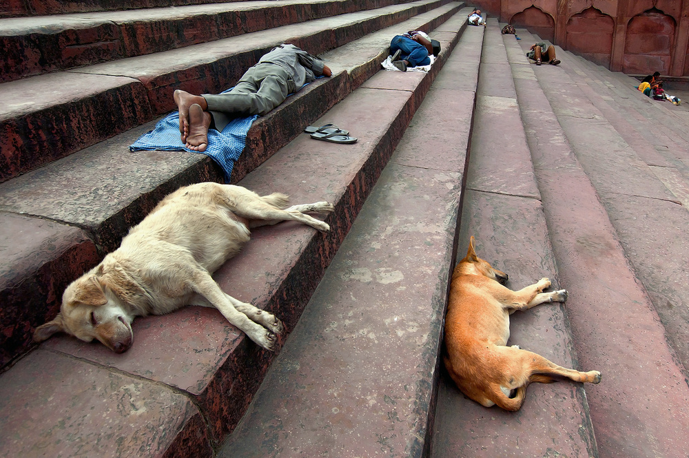 Siesta von Anuska Voncina