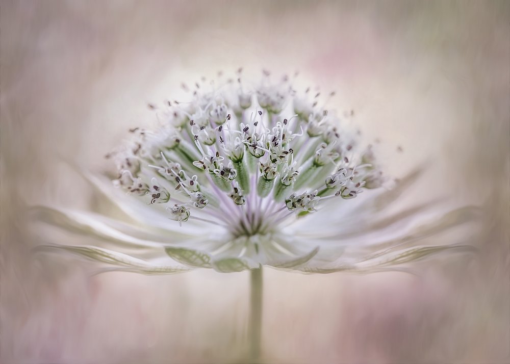 Waiting for better days von Anya