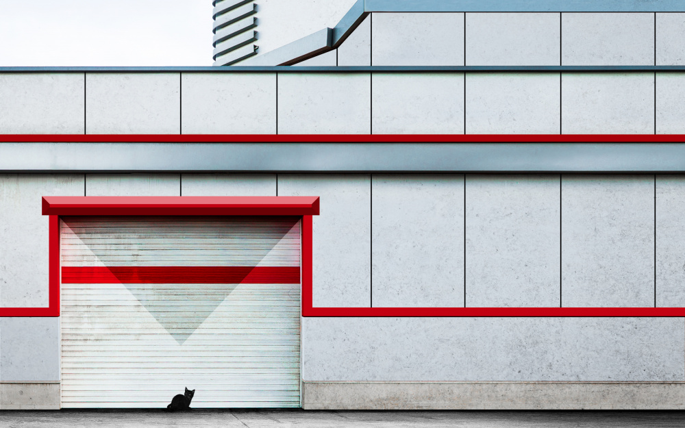 Parking&amp;Cat von Arastoo Qadermazi