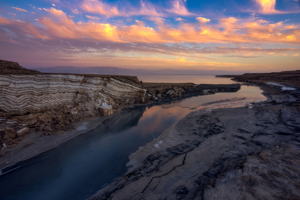 Deadset von Arie Burla