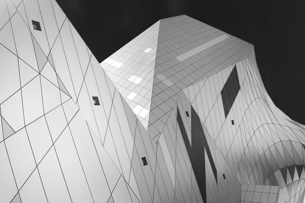 Canine von Ariel Ariel