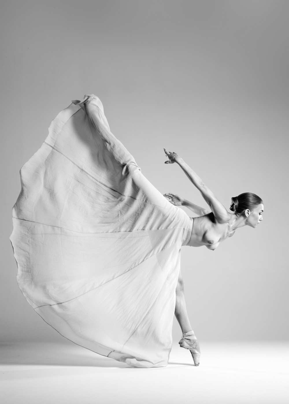 butterfly von Arkadiusz Branicki