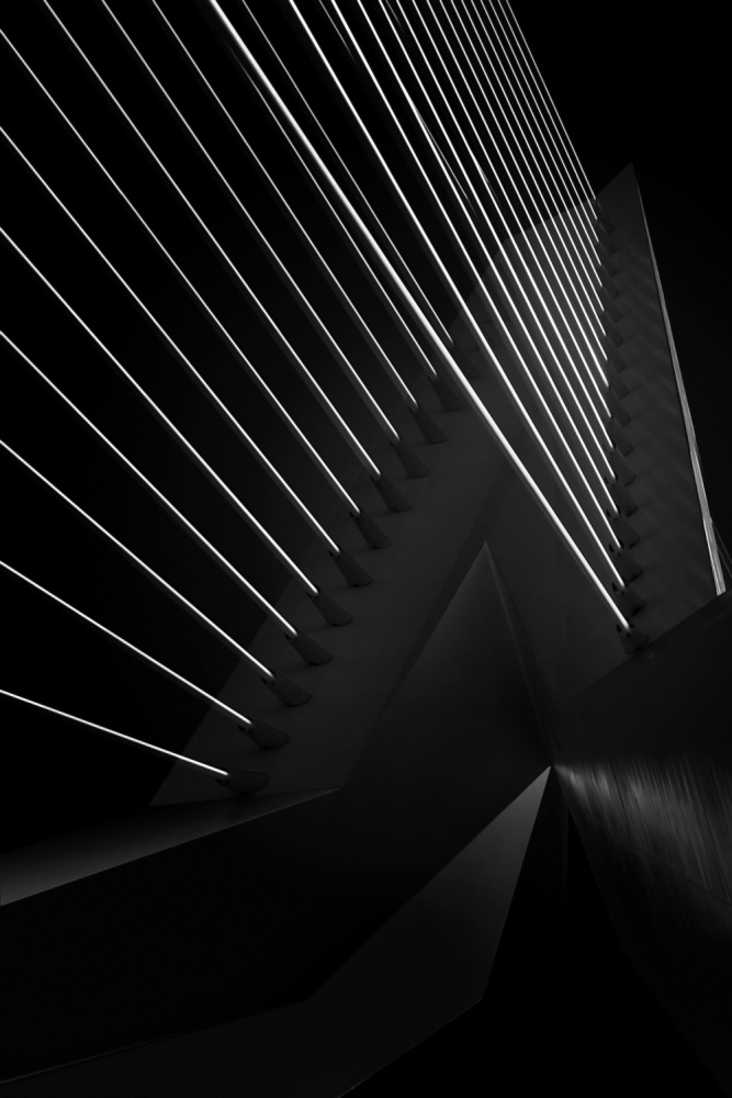 Rotterdam - Erasmusbrug II von Arnd Gottschalk