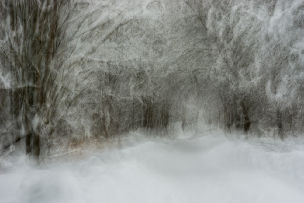 Soft Snow von Arne Östlund