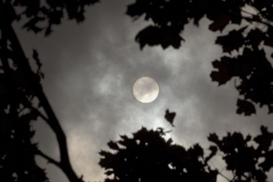 Herbstsonne von Arno Burgi