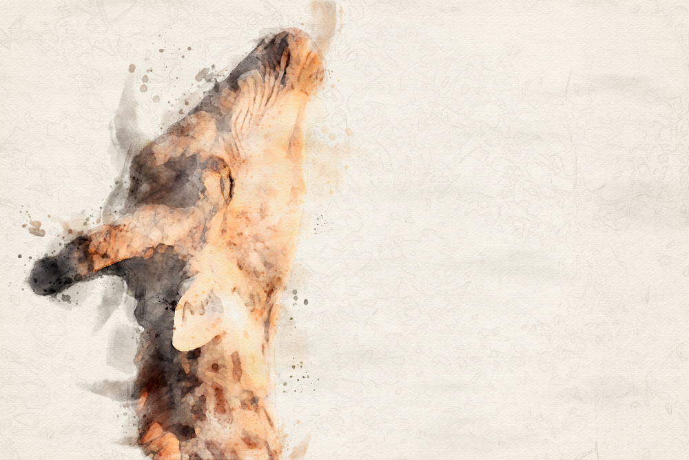 Abstract Giraffe Watercolor Art von Arno Du Toit