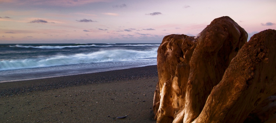 beachtree von ArtFiction (Andre Gehrmann)