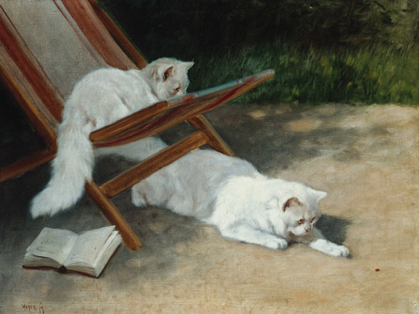 Zwei weiße Perserkatzen beim Spiel mit einem Marienkäfer. von Arthur Heyer