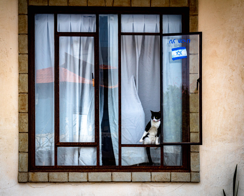window von arthur kogan