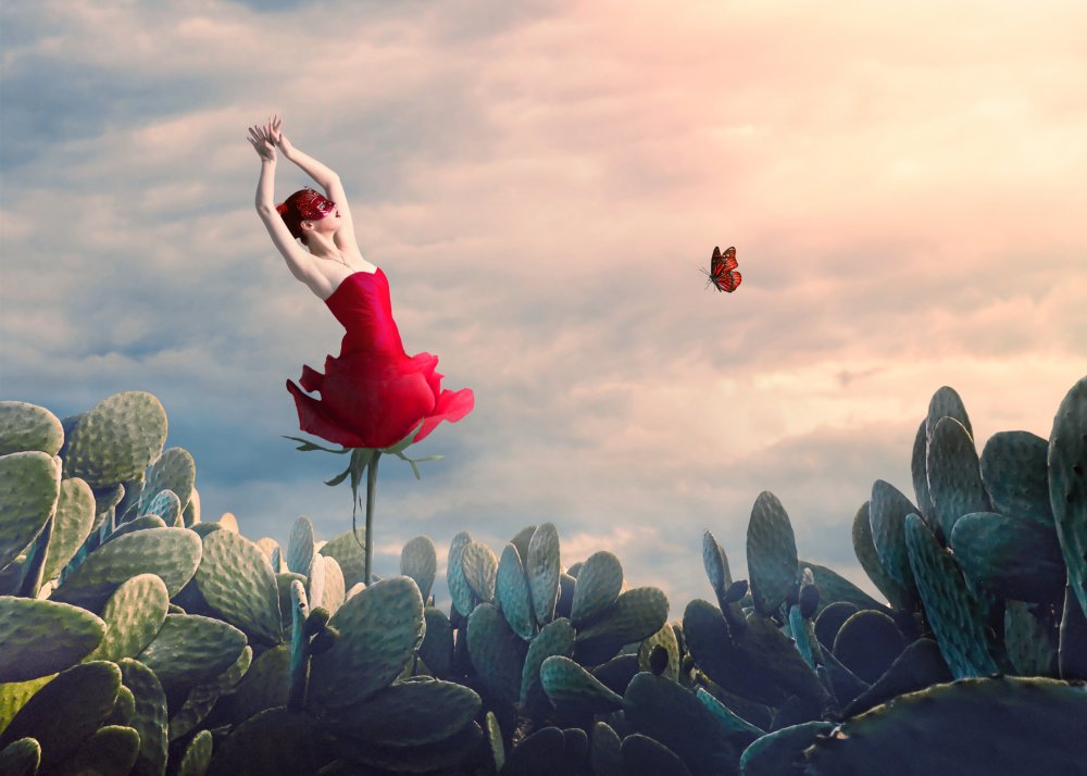 Success von Aryana Golchin